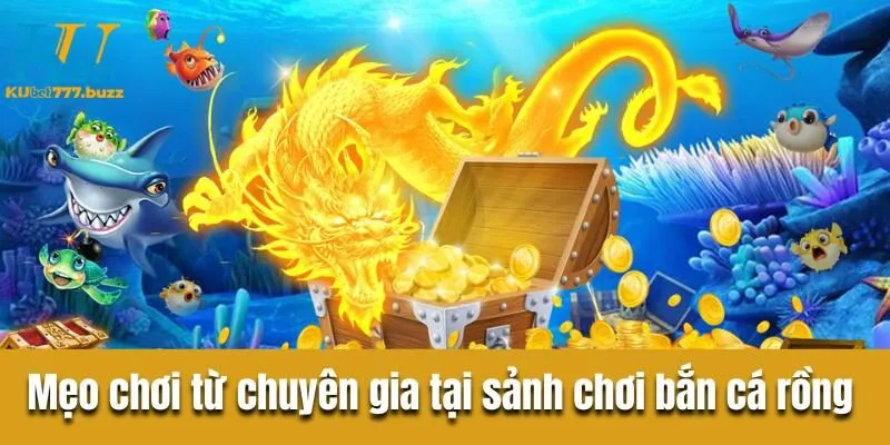 Bắn cá rồng - Hành trình săn kho báu trong lòng đại dương Bật mí mẹo chơi từ chuyên gia trong sảnh chơi bắn cá