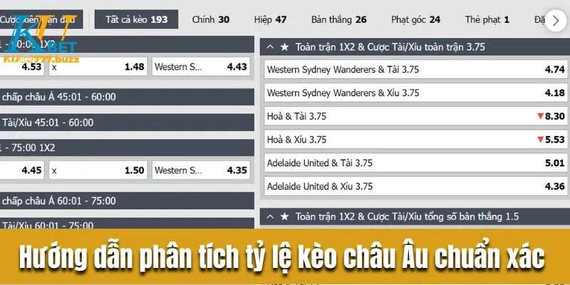 Hướng dẫn đọc kèo châu Âu chi tiết cho người mới bắt đầu Hướng dẫn phân tích tỷ lệ kèo châu Âu chuẩn xác