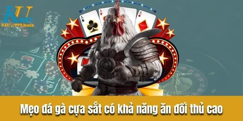 Đá gà cựa sắt - Bật mí chiến thuật và lựa chọn chiến kê tốt Mẹo quan sát chiến kê trong đá gà cựa sắt có khả năng ăn đối thủ cao