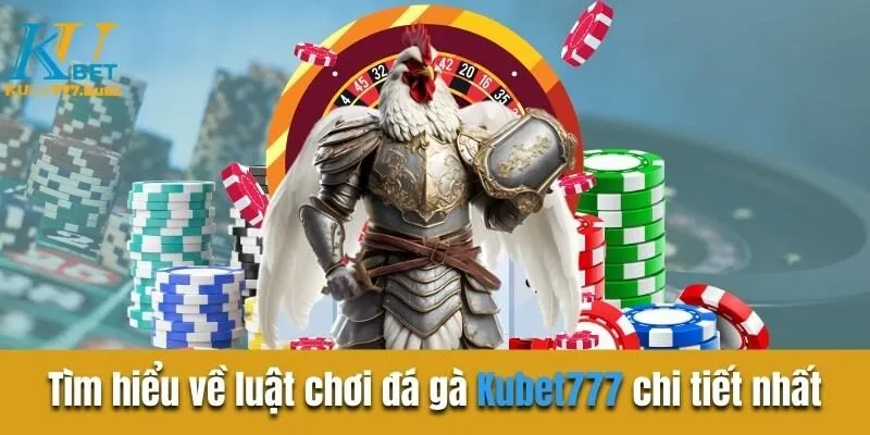 Đá gà cựa sắt - Bật mí chiến thuật và lựa chọn chiến kê tốt Tìm hiểu về luật chơi đá gà Kubet777 chi tiết nhất